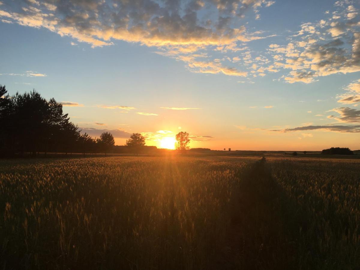 Wsrod Pol I Lasow Dubicze Cerkiewne Esterno foto