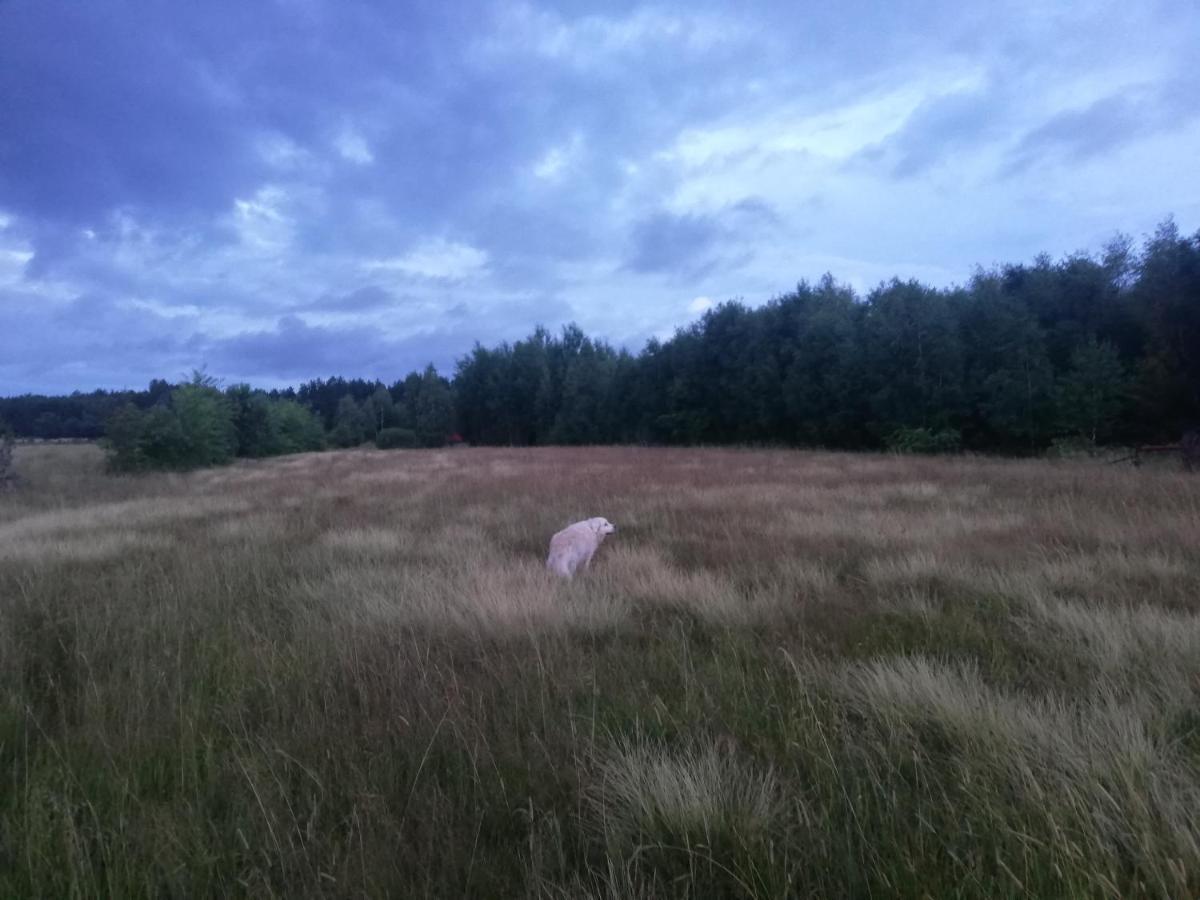 Wsrod Pol I Lasow Dubicze Cerkiewne Esterno foto